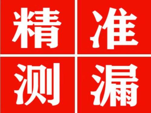 萨迦精准定位查漏水一次收费多少钱？